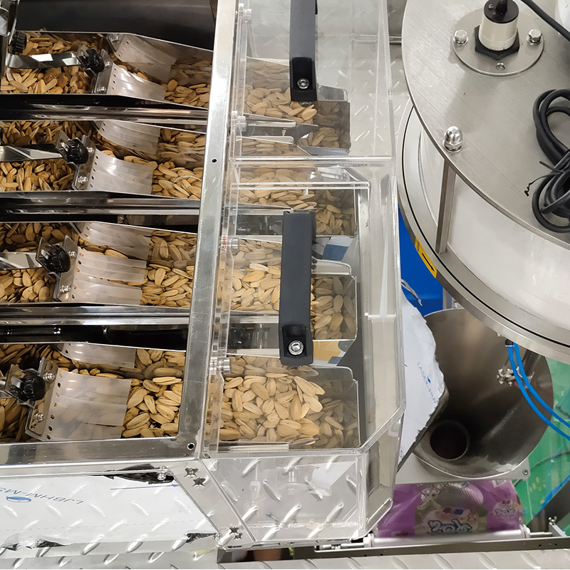 Automatic Mylar Zipper Bag Spice Filling Packaging Spices Seasoning Carob Cinnamon Powder Protein Doypack Packing Machine