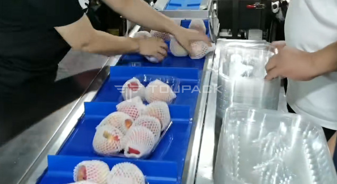 베개 롤 포장 기계 페어 사과 무게 조합 스케일 과일 조합 가중기 고 정밀 포장 기계