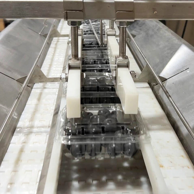 Auto Blueberry Frozen Vege Salad Vegetable Packing Machine Cherry Tomatoes Vegetable Weighing And Packing Machine