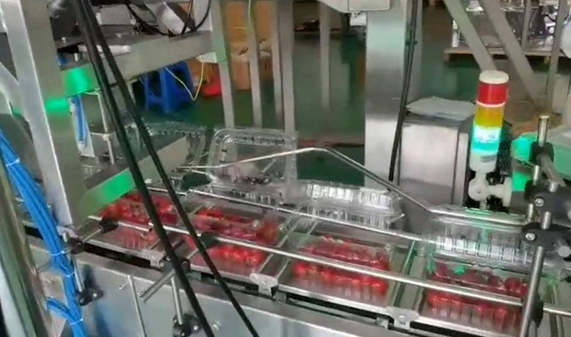 상자에 있는 버찌 냉동 과일을 위한 SUS304 다중 헤드 무게를 다는 자동 무게를 다는 그리고 포장 체계