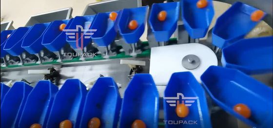 노른자위 생선 과일을 위한 터치 스크린 다중 등급 원형추 소팅 머신