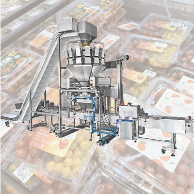 곤포기를 충전하는 방울 토마토 블루베리 계절과일 멀티헤드 가중기 카톤 박스