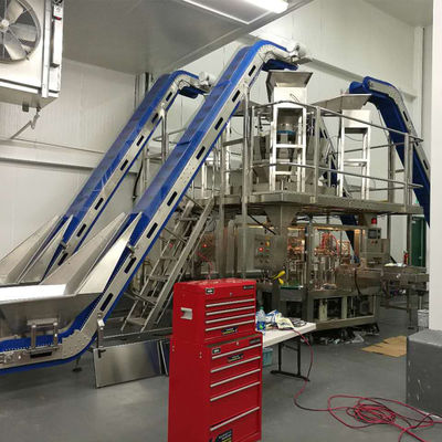 Doypack 부대를 위한 ISO 9001 1.5KW Multihead 무게를 다는 사람 포장기