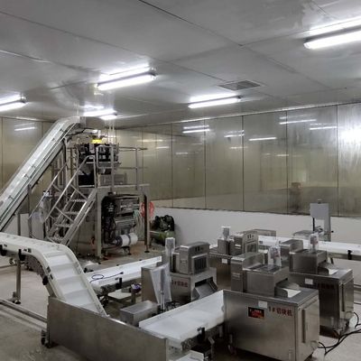 ISO9001 컨베이어 벨트 분류 시스템