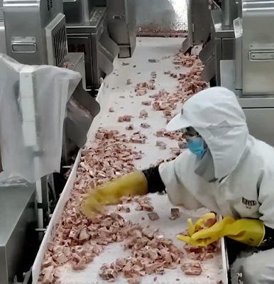 매우 차가운 고기 골형 제품을 위한 20 가방 / 민 멀티헤드 가중기 곤포기