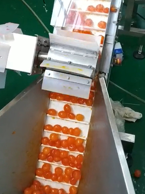 다중 가중기 진공 포장기 노른자위 구분과 프로젝트를 운반하는 것