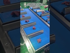 고기 다목 가량 포장 기계