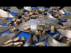 TOUPACK 14 헤드 물고기 무게를 위한 다중 헤드 웨이거