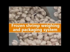 도이팩 가방용 다중 헤드 웨이저 포장 기계